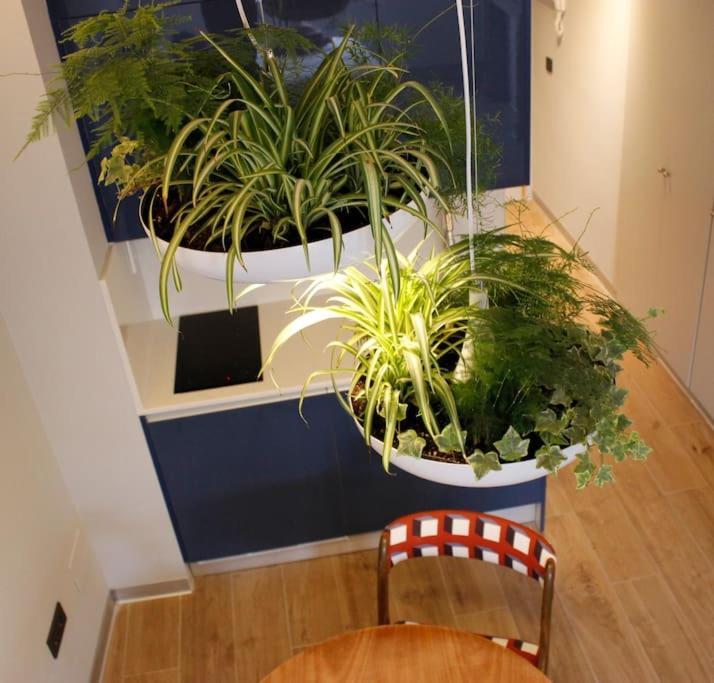 Apartamento Por Temporada Centro Diseno Мадрид Екстер'єр фото