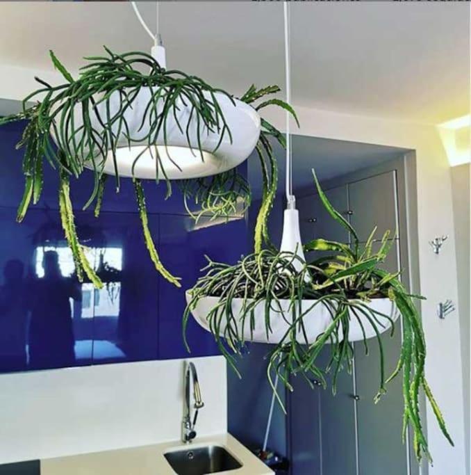Apartamento Por Temporada Centro Diseno Мадрид Екстер'єр фото
